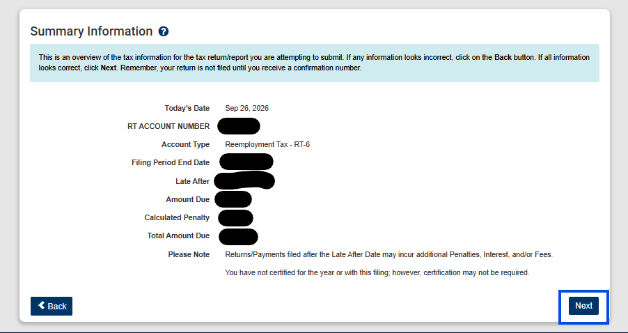 The Summary Information review screen, shown just before the return is signed and submitted.